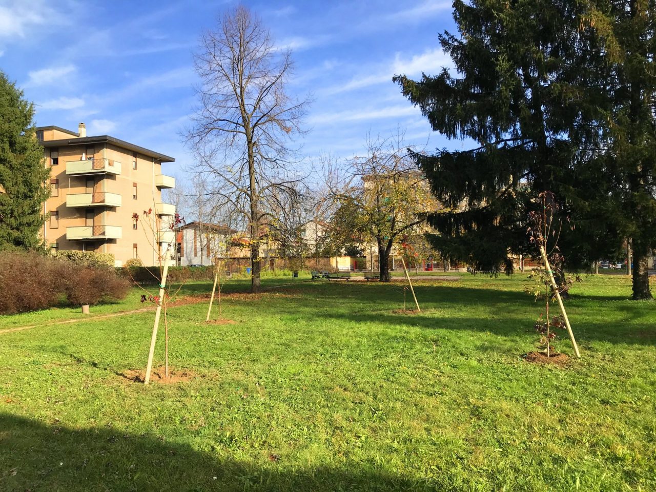 Giornata nazionale dell’albero festeggiata con 21 nuove piante