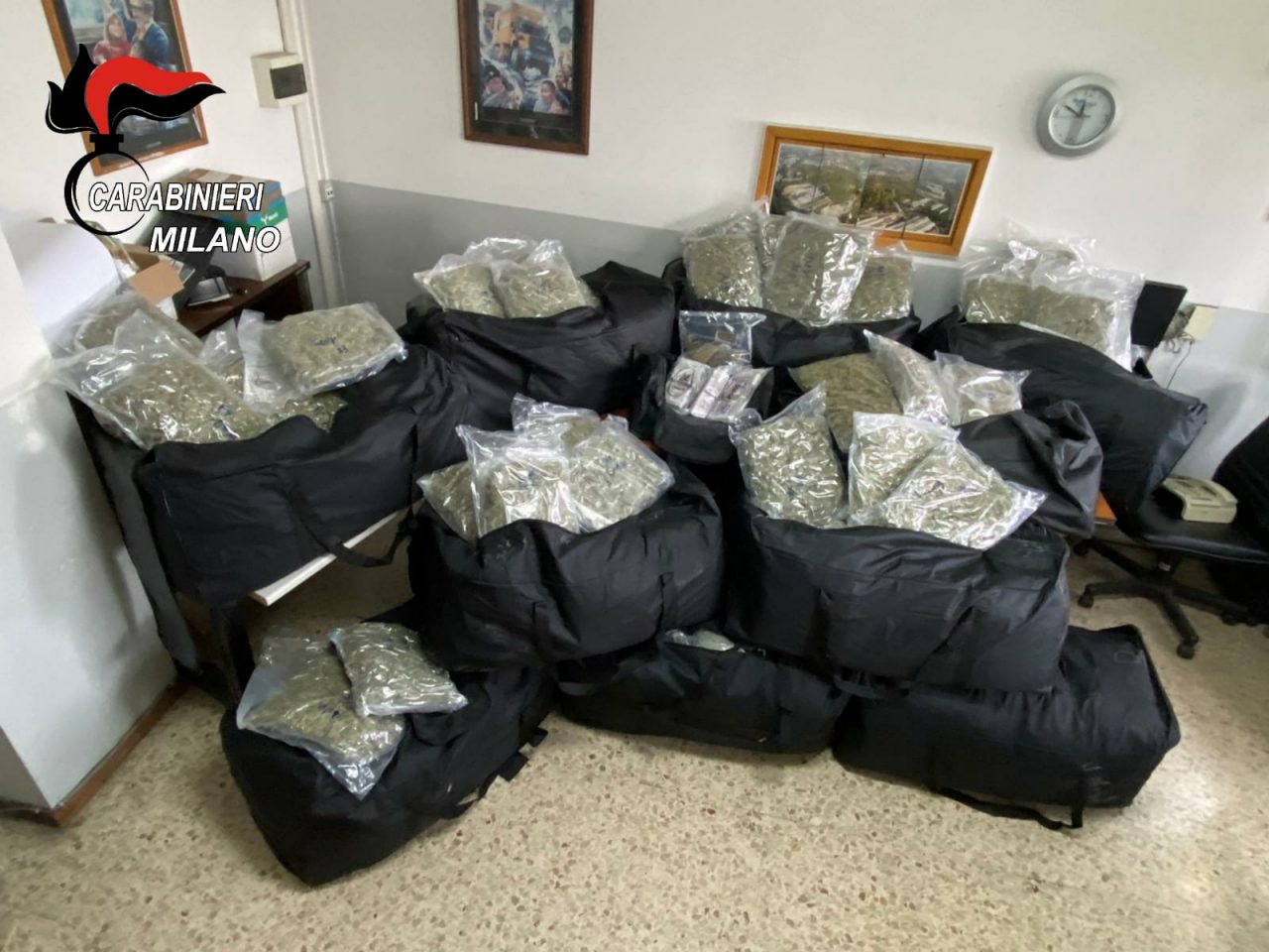 Sequestrati 220 chili di droga. Sui panetti c’era la faccia di Goku