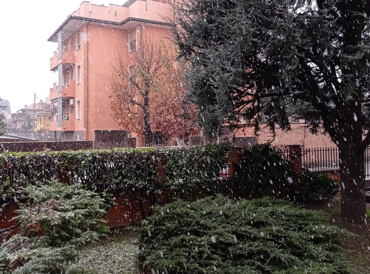 La magia dei primi fiocchi di neve: le città si tingono di bianco FOTO