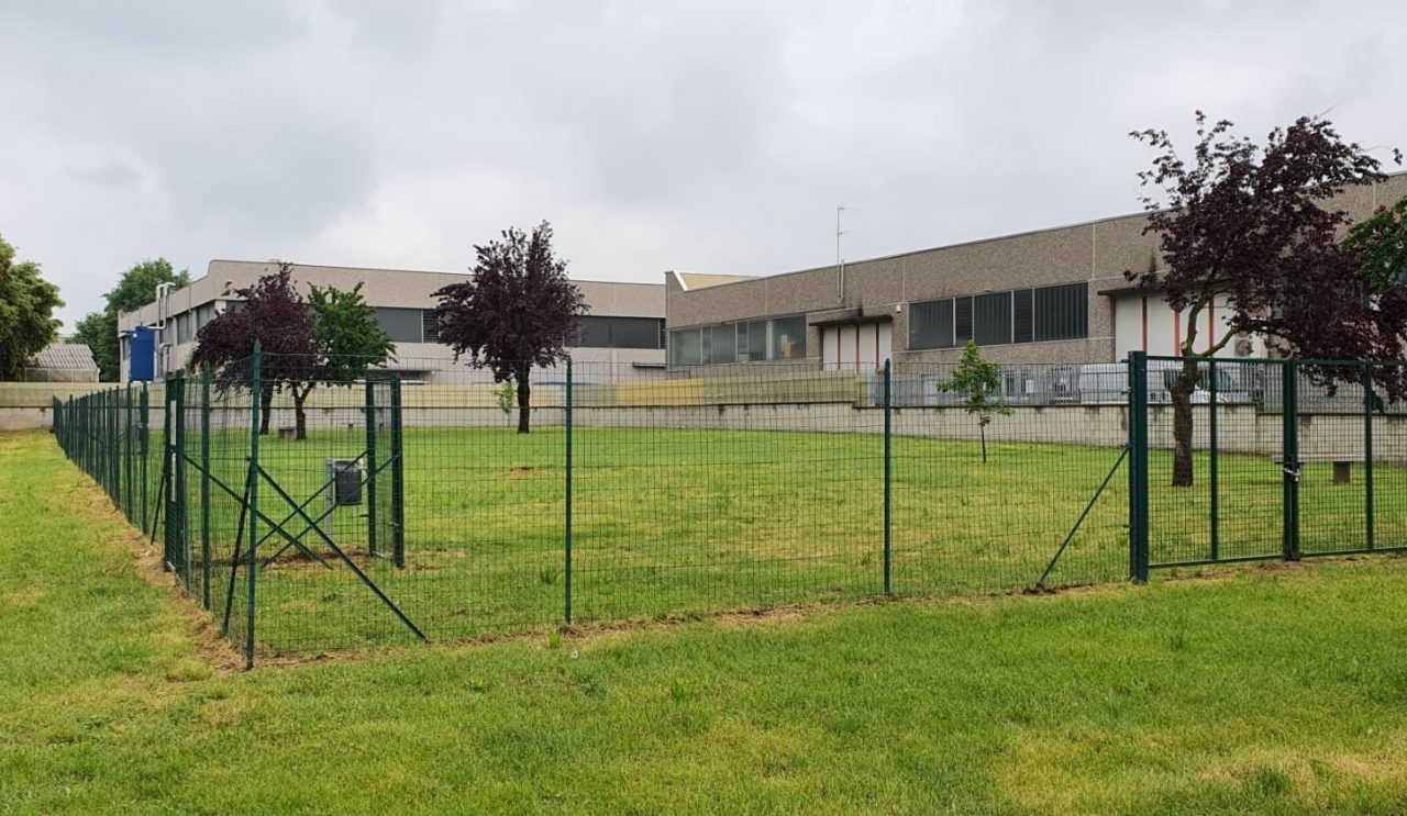 Area cani chiusa: dopo la morte di un quattrozampe è allarme bocconi al veleno