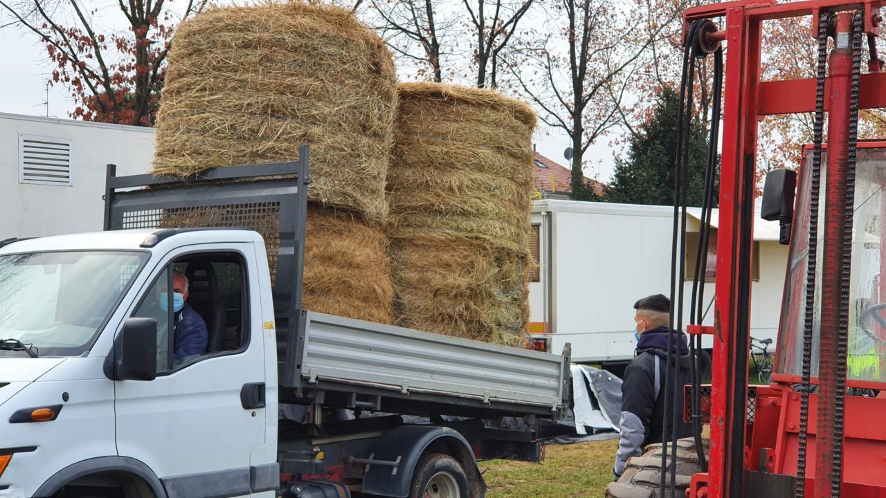 Circo bloccato dalle norme anticontagio, gli agricoltori in soccorso degli animali FOTO