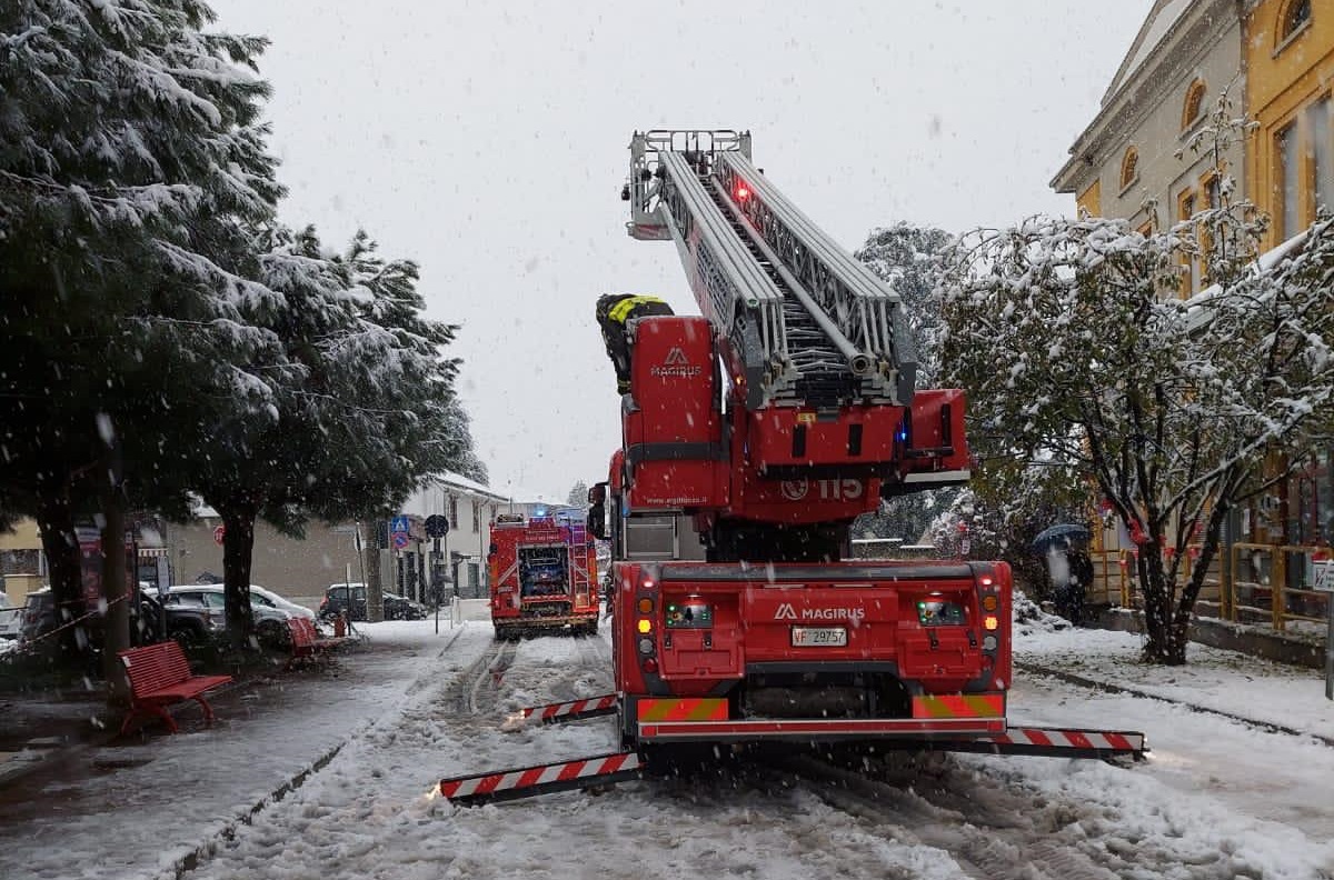Albero pericolante fuori da scuola, arrivano i pompieri FOTO