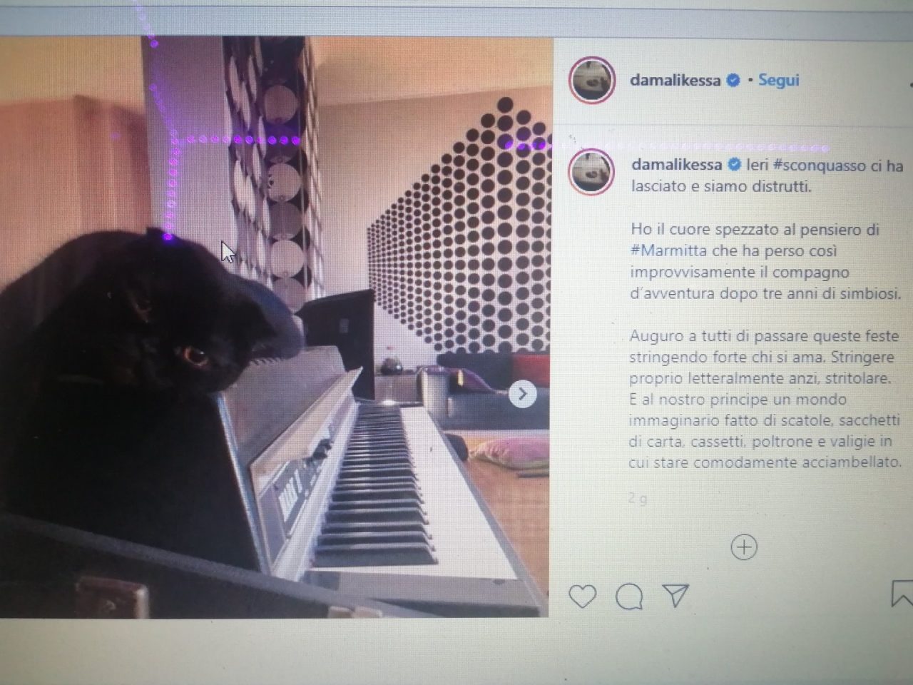 Malika Ayane dice addio, su Instragram, al suo amato gatto nero