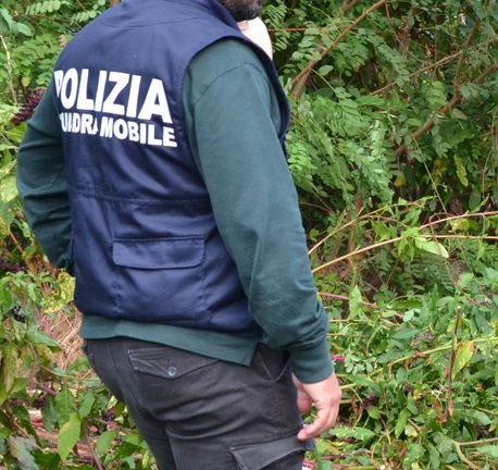 Market della droga nei boschi tra Cuggiono, Buscate, Bernate e Turbigo: sei arresti