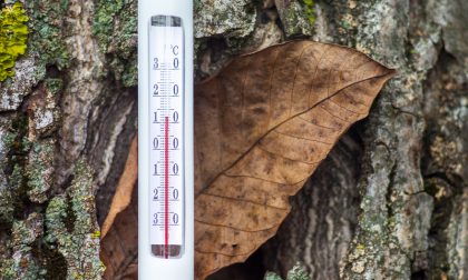 Arriva il Favonio (Fohn), su le temperature | Previsioni meteo Lombardia