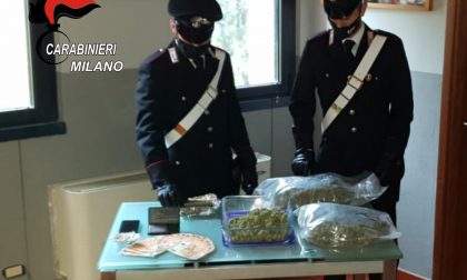 Senago: spacciava marijuana ed hashish, arrestato 24enne