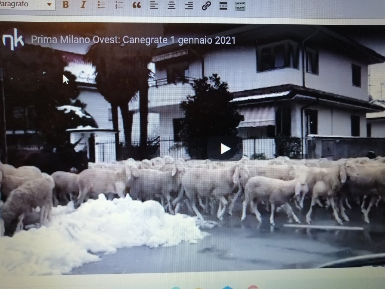 Pecore a passeggio per le strade del paese VIDEO