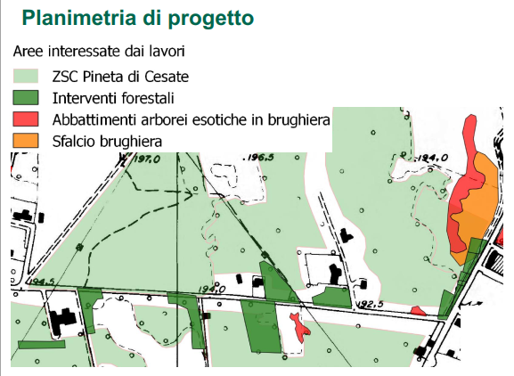 Intervento straordinario nell’area della Pineta