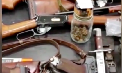 Dietro la porta blindata una serra di cannabis in casa: arrestato 53enne e sequestrate le armi