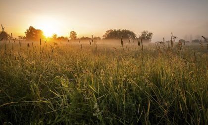Tempo stabile per tutta la settimana | Meteo Lombardia