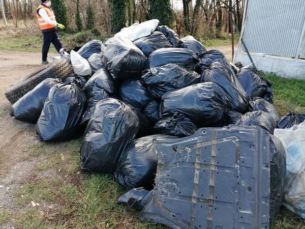 Tornano le “Giornate insieme a te con l’ambiente”