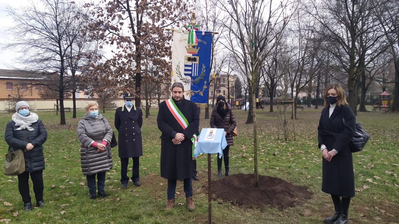 Corbetta commemora i defunti Covid con un ippocastano nel parco