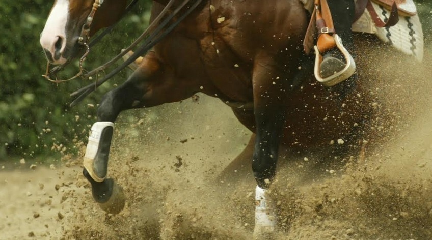 Ambulanza per una 19enne caduta da cavallo