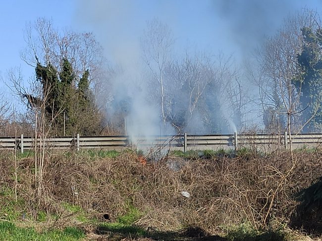 Bruciano sterpaglie, incendio a pochi metri dalla strada