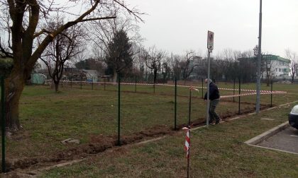 Novità in vista per i proprietari di cani a Rho