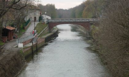 Naviglio Grande: continuano le attività di manutenzione del verde