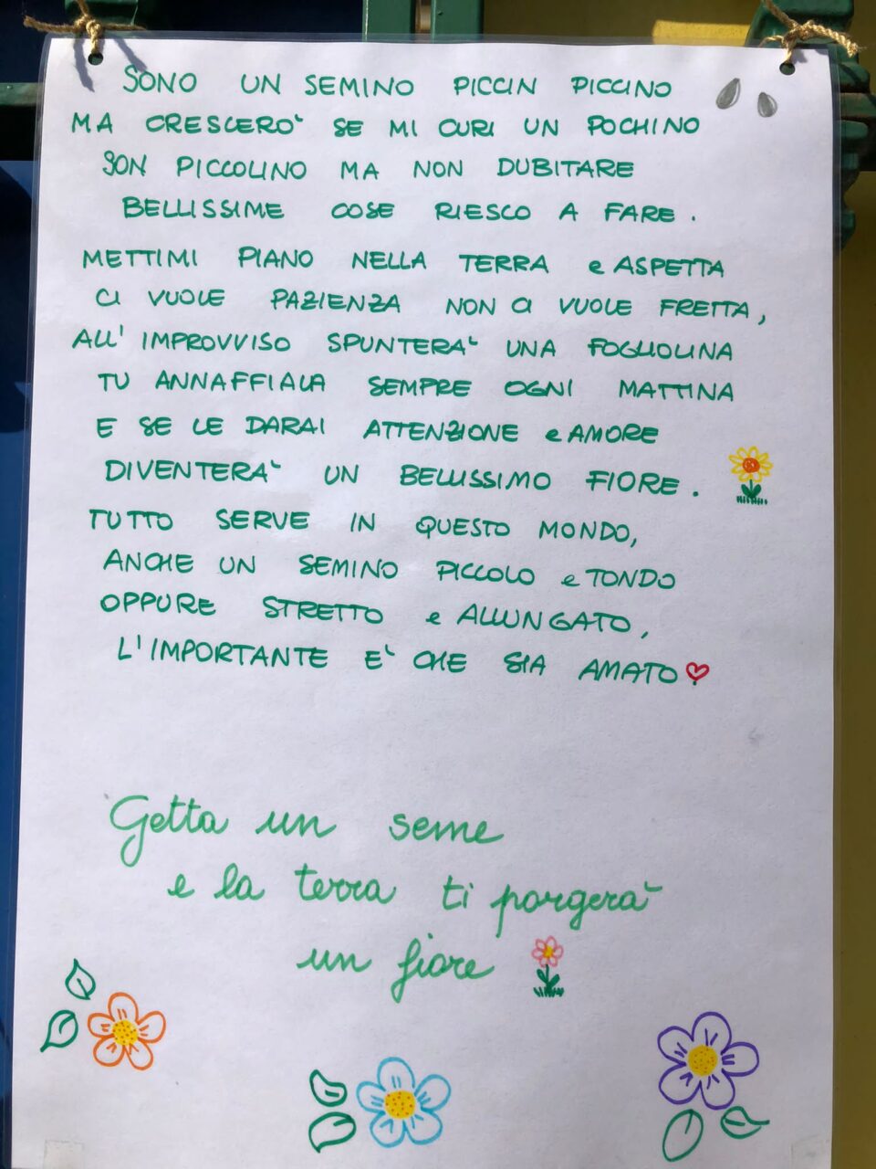 PiantiaAMOla