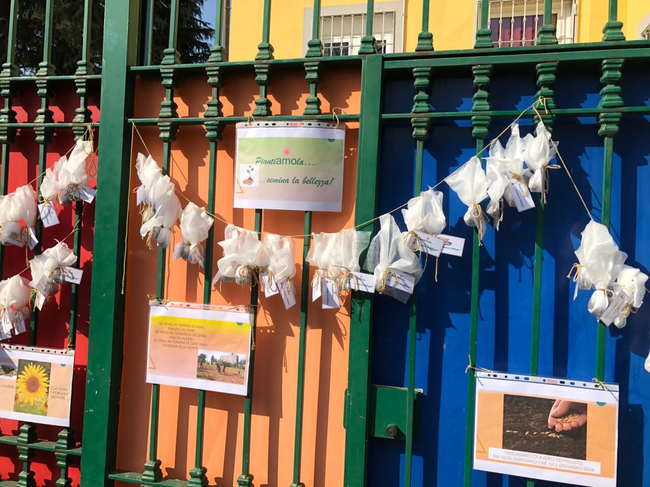 “PiantiaAMOla …semina bellezza”: l’iniziativa dalla scuola materna