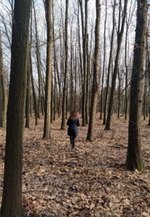Più di 25mila piante per la riforestazione urbana