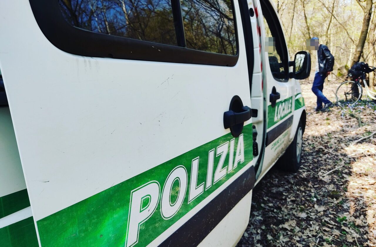 Cercano droga nei boschi, fermati e denunciati