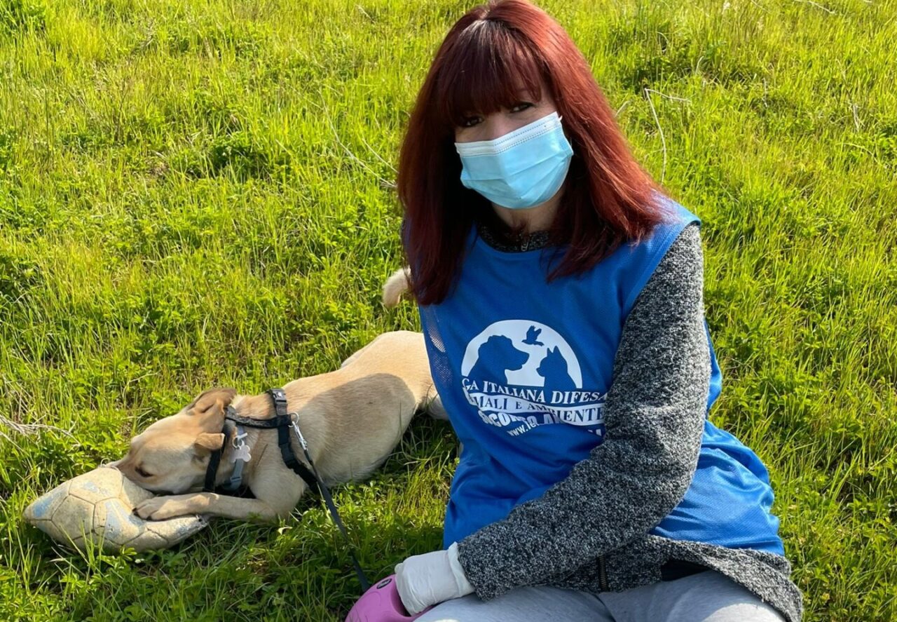 Intera famiglia con il Covid e il cane Maya ha bisogno di essere portata a spasso