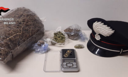 Serra termoventilata e marijuana in casa: arrestato dai Carabinieri
