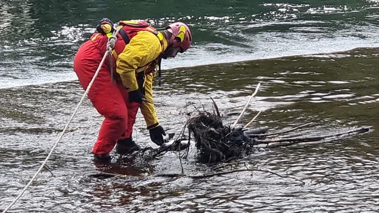 Airone ferito nel Naviglio: salvato dai pompieri