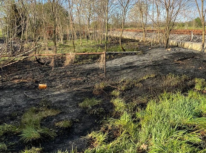 Sterpaglie avvolte dalle fiamme, pompieri in azione