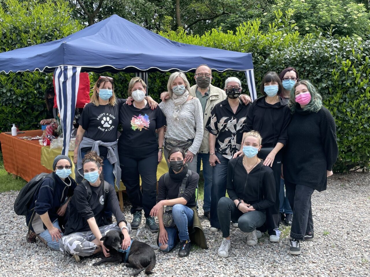 Pal, il Covid non ferma i volontari: adozioni in crescita