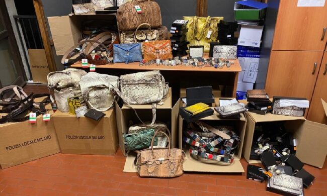 Prodotti realizzati con pelli di animali protetti in vendita senza autorizzazione, denunciati