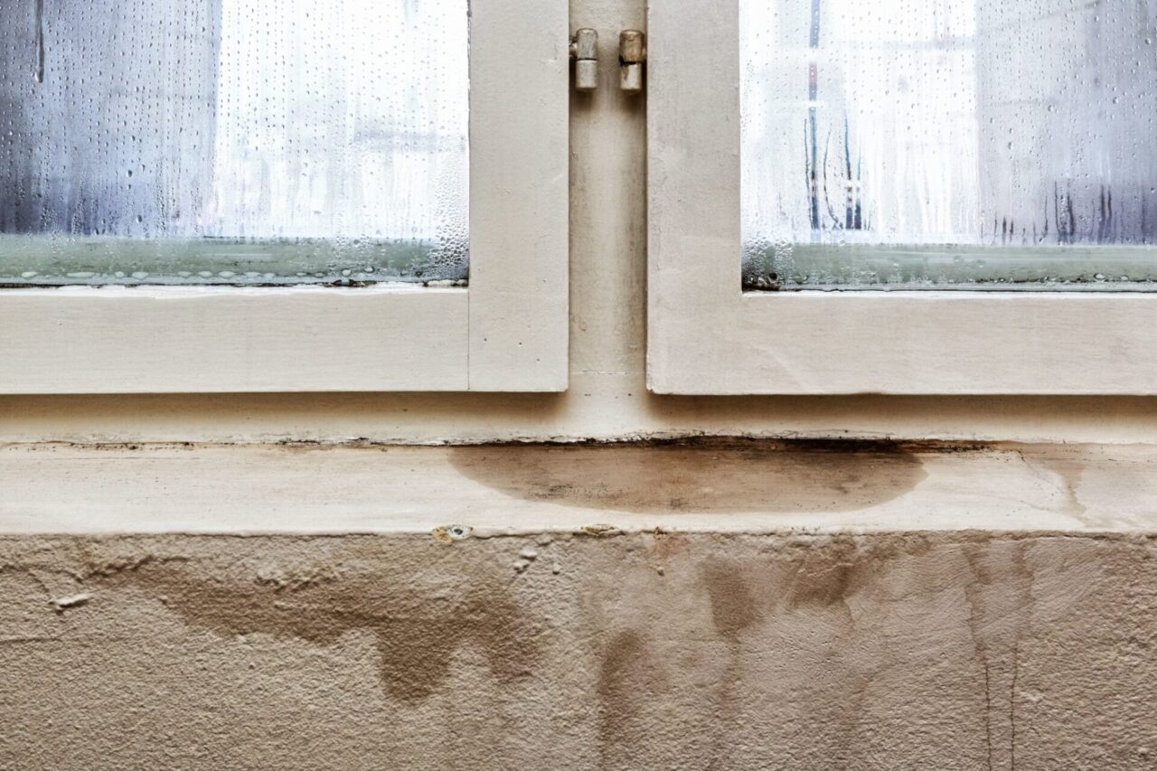 Problemi di umidità in casa: l’importanza di rivolgersi a degli specialisti