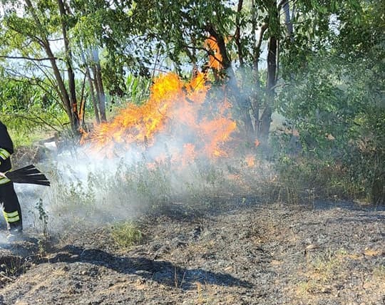 Campo in fiamme, spento dai pompieri