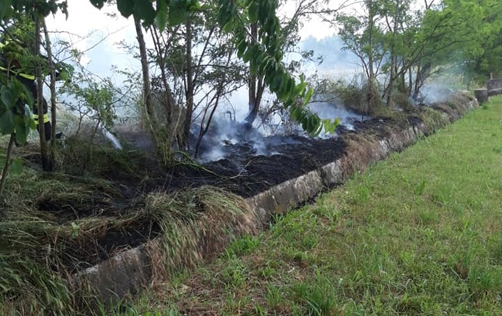 Sterpaglie in fiamme, arrivano i Vigili del Fuoco