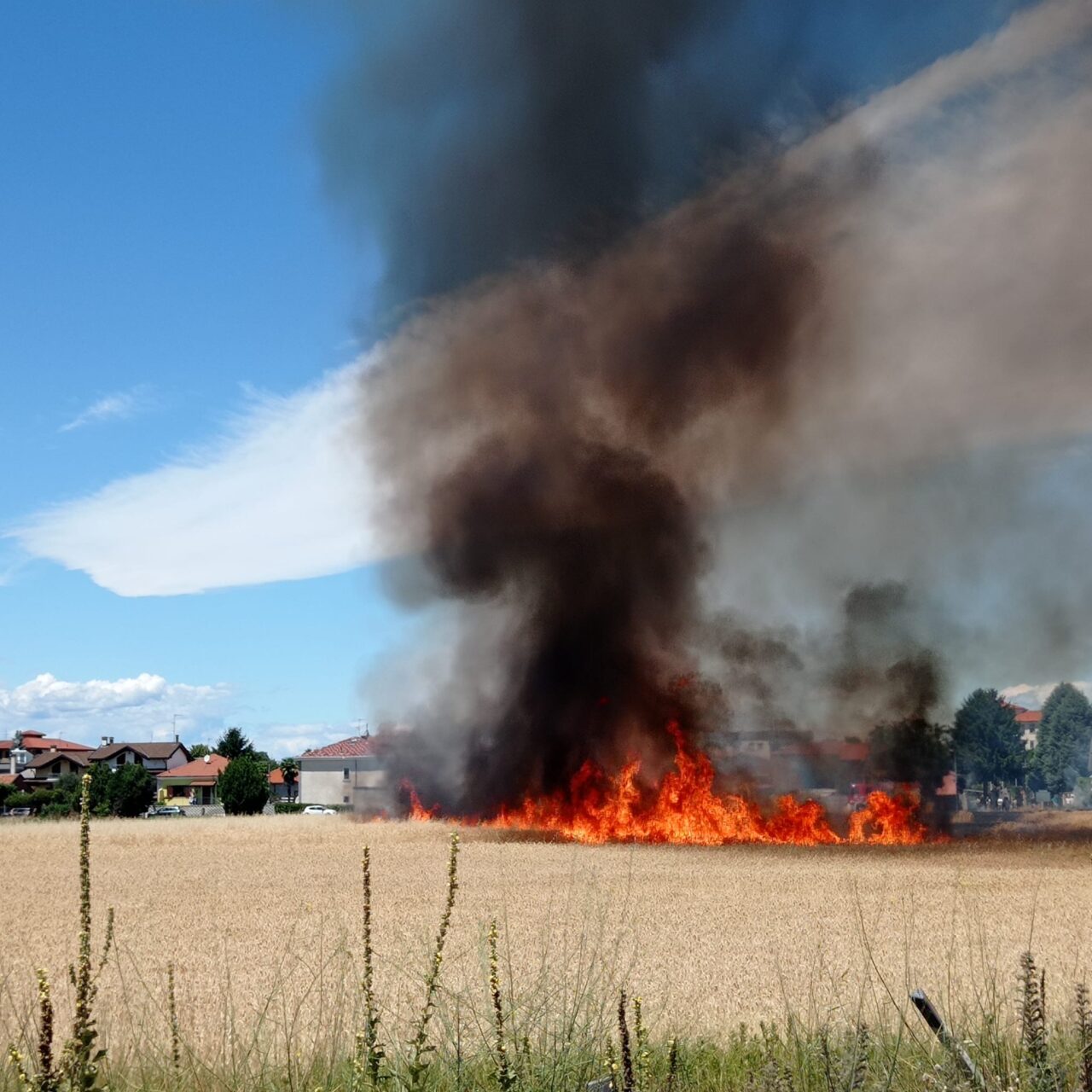 Campo a fuoco