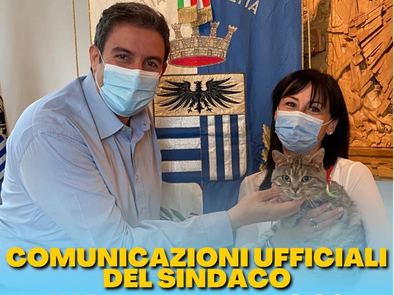 Oasi felina, bando deserto, il Comune lo fa a suo spese