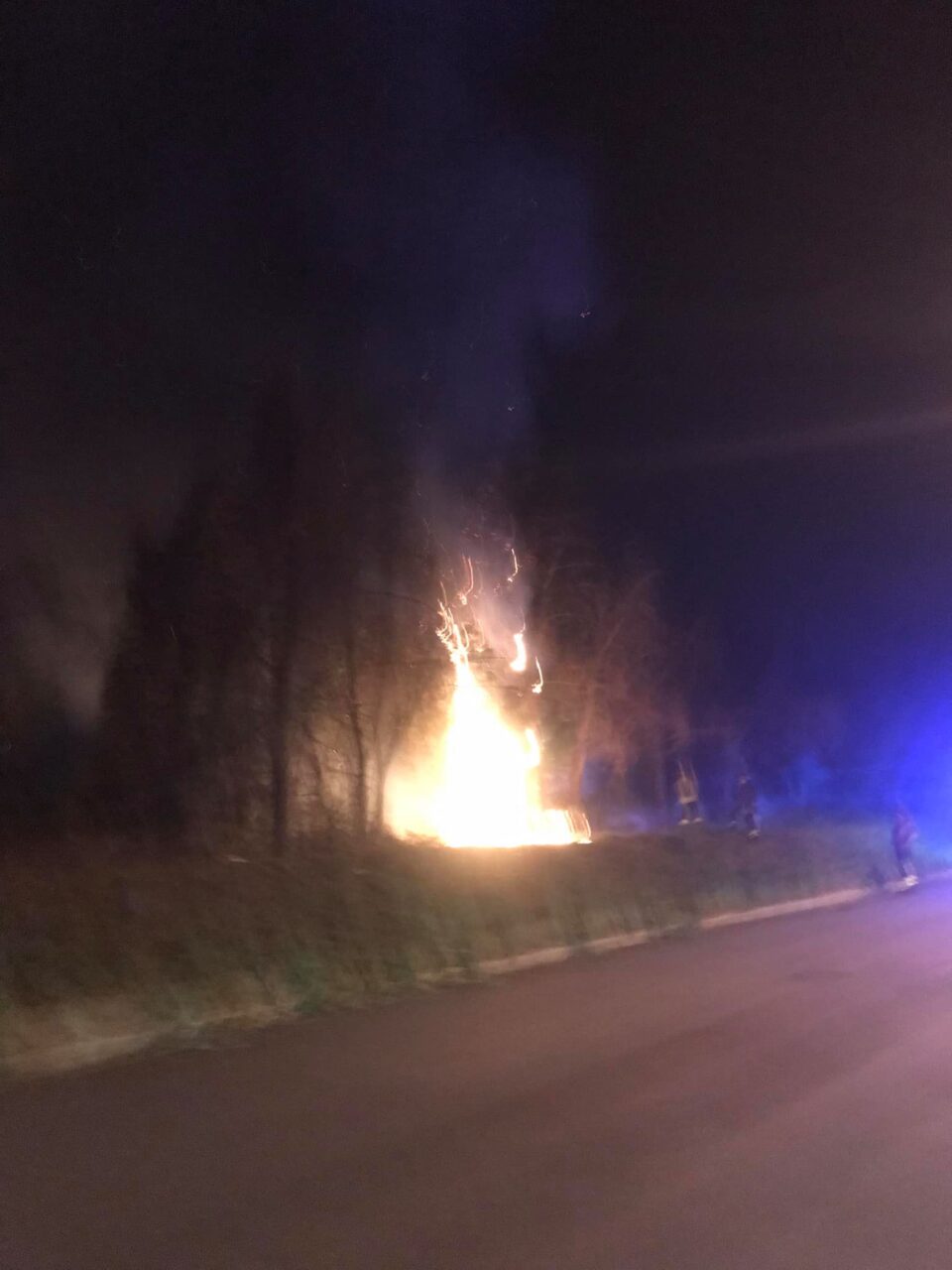 Caccia ai piromani che hanno incendiato piante e sterpaglie