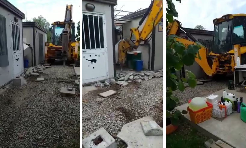 Corbetta, ruspa in azione: abbattuto il gattile abusivo