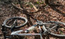 Ciclista si ferisce nel bosco: chiamati i Vigili del fuoco