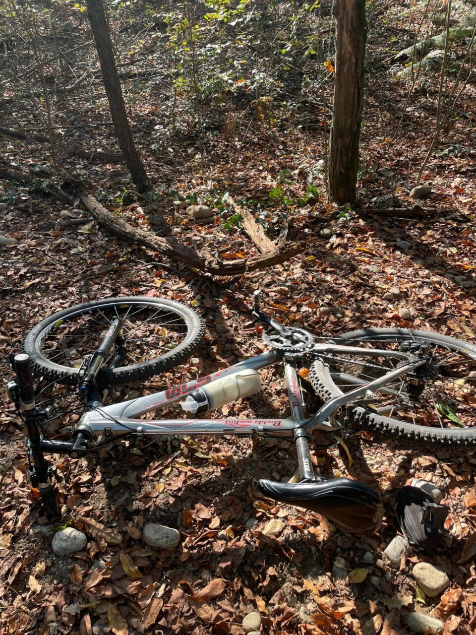 Ciclista si ferisce nel bosco: chiamati i Vigili del fuoco