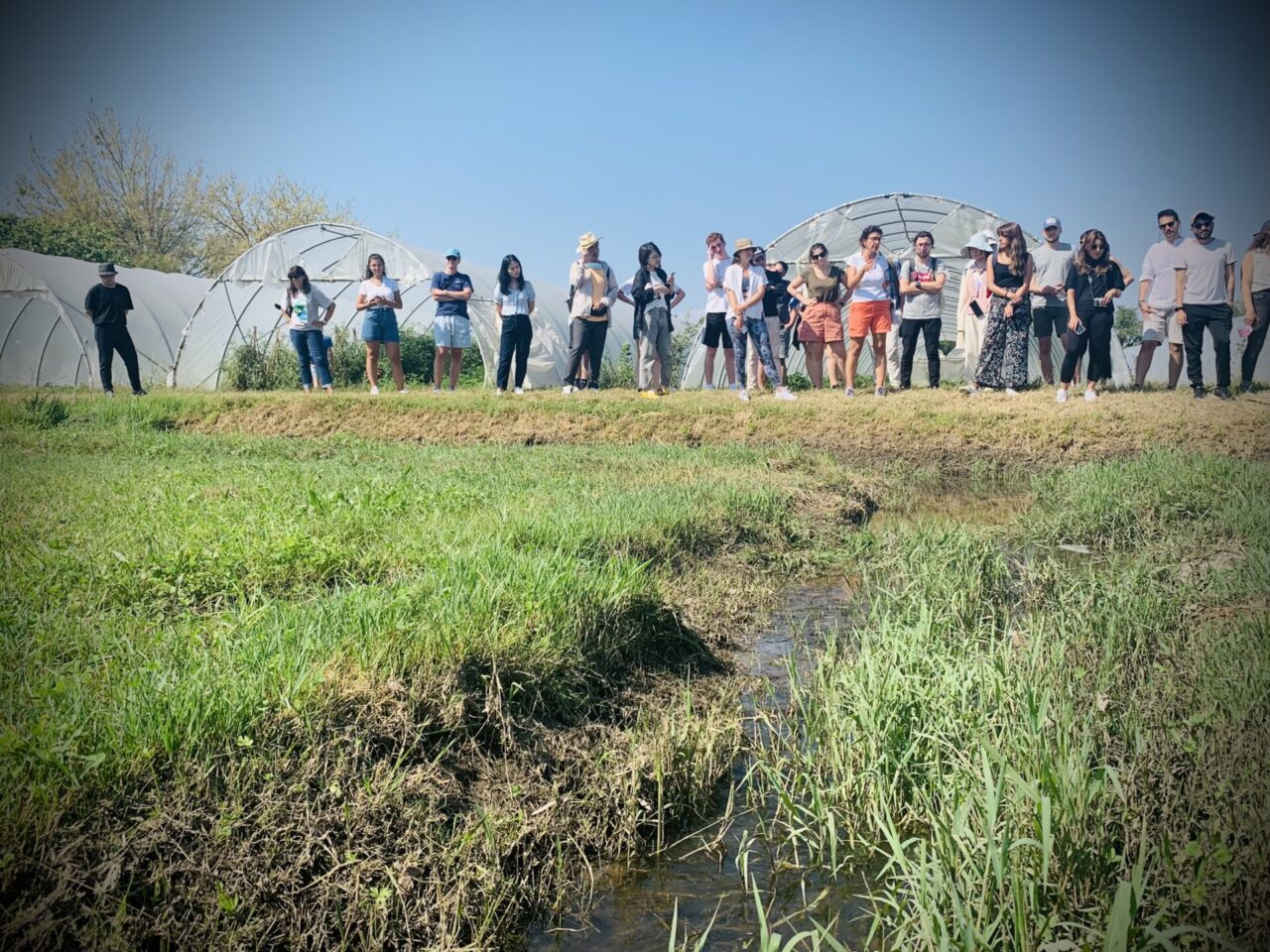 Studenti a lezione… nel cuore del Parco del Ticino