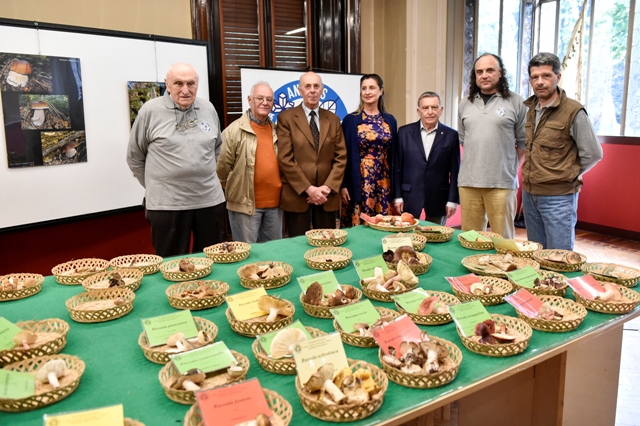 Funghi protagonisti: torna la mostra micologica