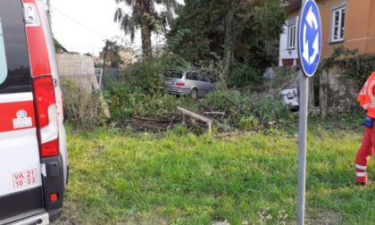 Tra gli alberi del giardino spunta... una Bmw