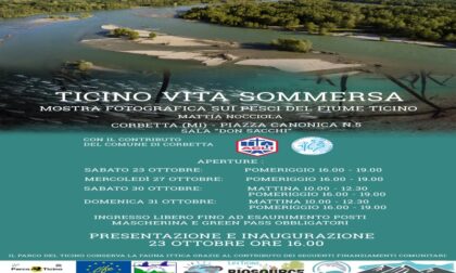 Mostra fotografica "Ticino vita sommersa", di Mattia Nocciola