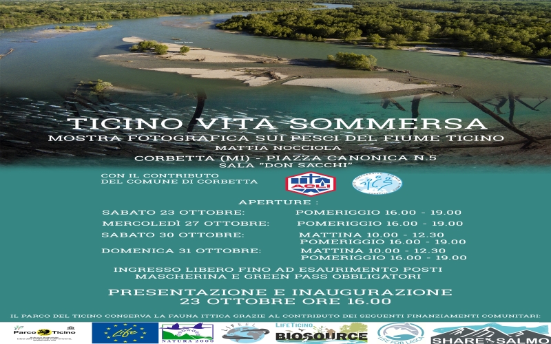 Mostra fotografica “Ticino vita sommersa”, di Mattia Nocciola