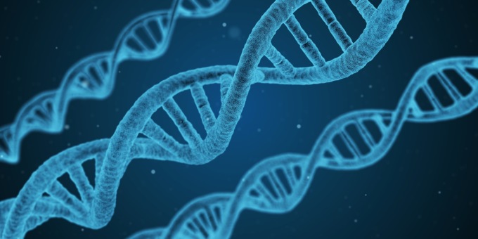 Questioni di bioetica: tre serate per conoscere, discutere e approfondire