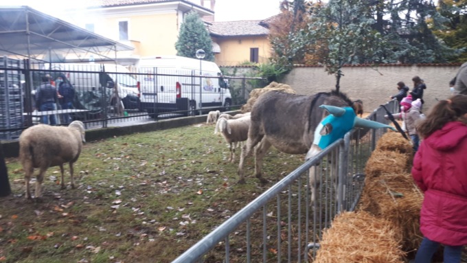 Inveruno, Fiera di San Martino