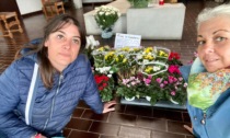 Cento fiori sospesi per onorare i morti