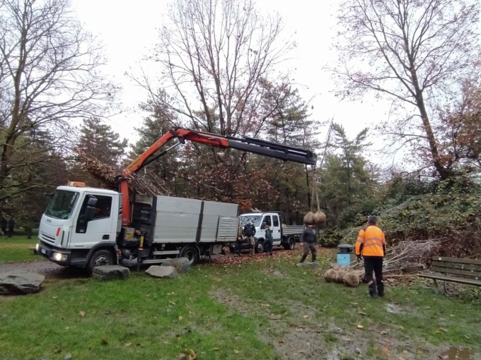 Parco Castello, via alla piantumazione di nuovi alberi