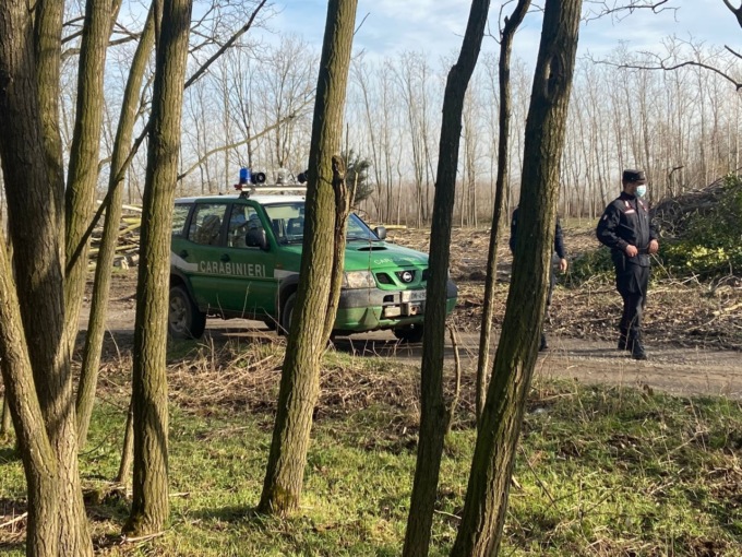 Sequestrate 81 allodole, un fucile e un richiamo elettronico