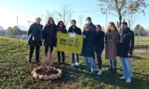 Un albero per celebrare Amnesty International